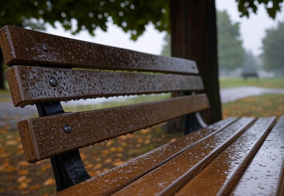 The Language of Rain: What Raindrops ‘Say’ About the Sky, Decoded for Beginners